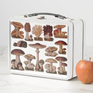 Hipster französischer botanischer Druck vintage Pi Metall Brotdose