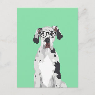 Hipster Great Dane for Dovers Lovers Postkarte