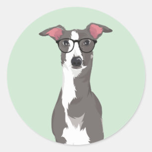 Hipster-italienischer Windhund-Hund für Runder Aufkleber