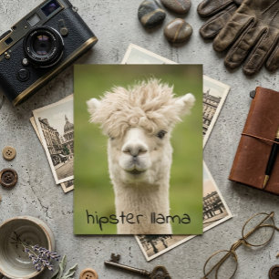 Hipster Lama Lustige Frisur Postkarte