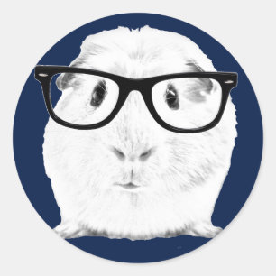 Hipster Pigster Runder Aufkleber