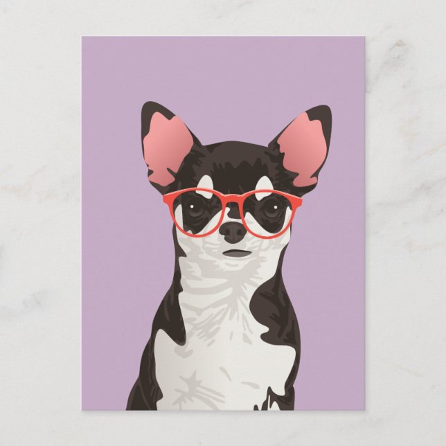 Hipster Schwarz-Weiß-Coat Chihuahua Postkarte (Vorderseite)