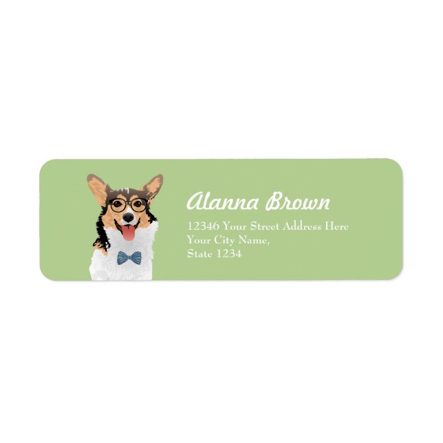 Hipster Sweet Black Tan White Pembroke Welsh Corgi (Vorne)
