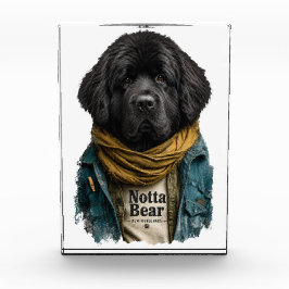 Hipster Urban Newf – Notta Bear Style Fotoblock