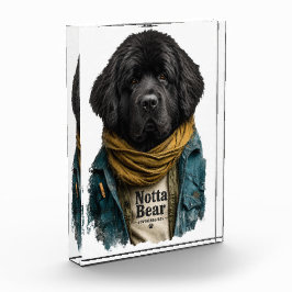 Hipster Urban Newf – Notta Bear Style Fotoblock