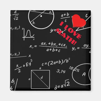 Hirnmathematik Magnet