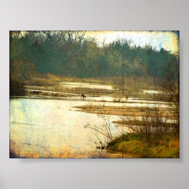Hirsch auf der Platte bei Kearney, Nebraska Poster (Vorne)