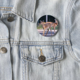 Hirsch Button