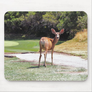 Hirsch, der in die Kamera schaut Natur Mousepad