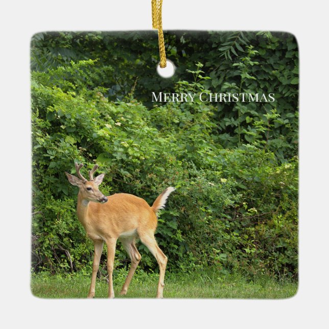 Hirsch-Foto-Ornament  Keramikornament (Vorderseite)