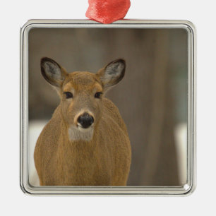 Hirsch-Foto-Ornament Ornament Aus Metall
