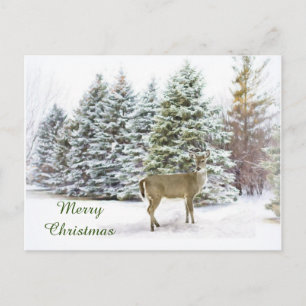 Hirsch im Winter Wonderland Frohe Weihnachten Post