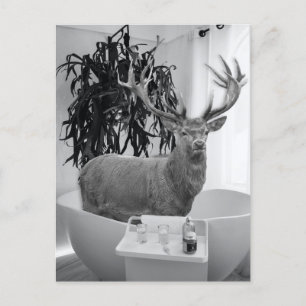 Hirsch in der Badewanne Schwarz-Weiß-Badezimmer-Ku Postkarte