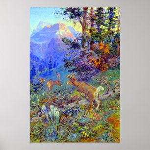 Hirsch in Forest White Tails Deer Charles Russell Poster
