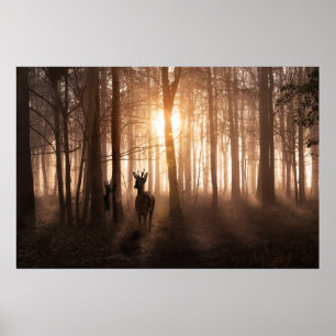 Hirsch in Wäldern bei Sonnenaufgang in Norfolk Eng Poster