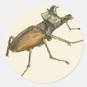 Hirsch-Käfer Runder Aufkleber