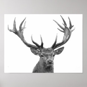 Hirsch Rotwild Schwarz Weiß Hütten Stil Modern Pos Poster