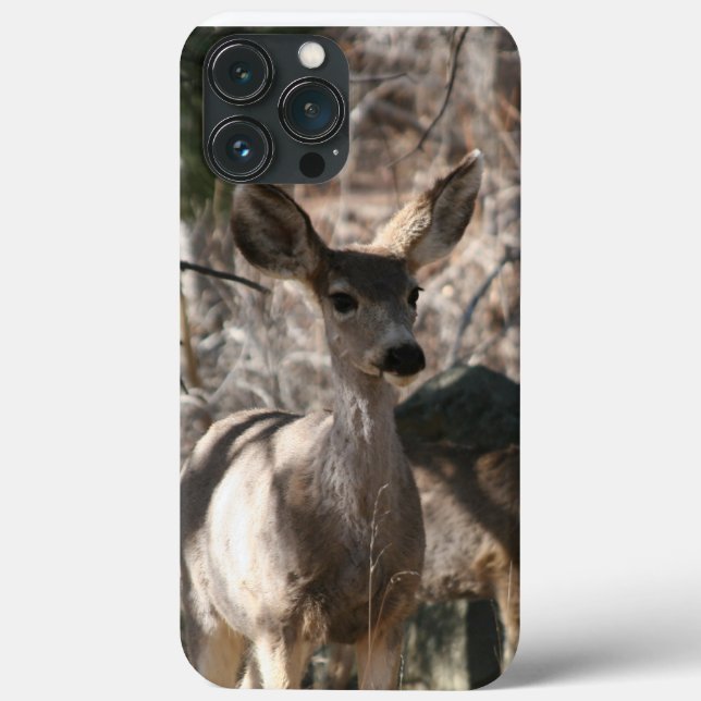Hirsch sagt Hallo Case-Mate iPhone Hülle (Rückseite)