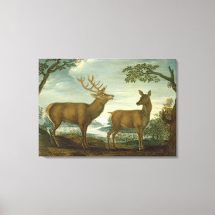 Hirsch und Hinter in einer bewaldeten Landschaft Leinwanddruck