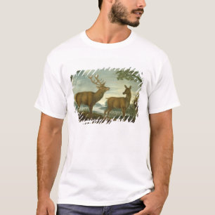 Hirsch und Hinter in einer bewaldeten Landschaft T-Shirt