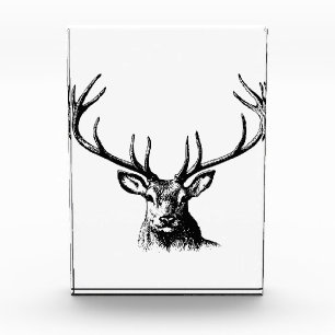 Hirschantler Natur Wildtierhorns Kopfkissen Fotoblock