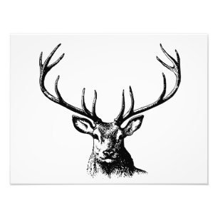 Hirschantler Natur Wildtierhorns Kopfkissen Fotodruck