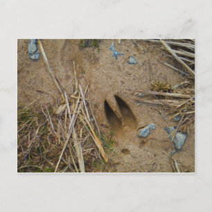 Hirschbahn Postkarte