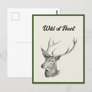 Hirschbuck Kopf mit Antlern Schwarz und Weiß Kunst Postkarte