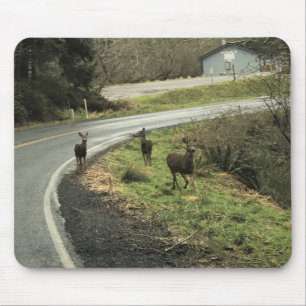 Hirsche auf der Straße, Cape Enttäuschung, WA Mousepad