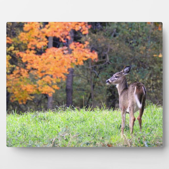 Hirsche auf einem Herbstfeld Fotoplatte (Vorderseite)