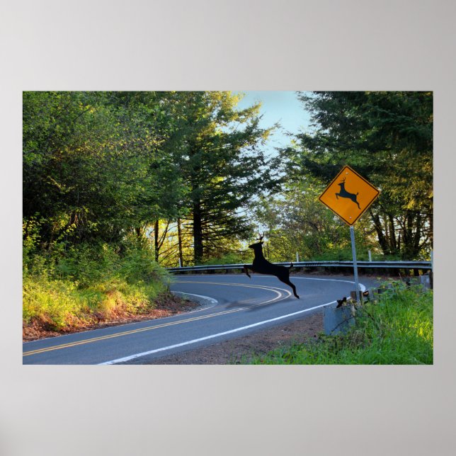 Hirsche aufpassen poster (Vorne)