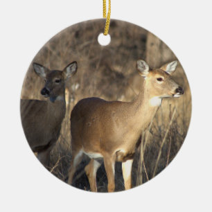 Hirsche-Foto-Ornament Keramik Ornament