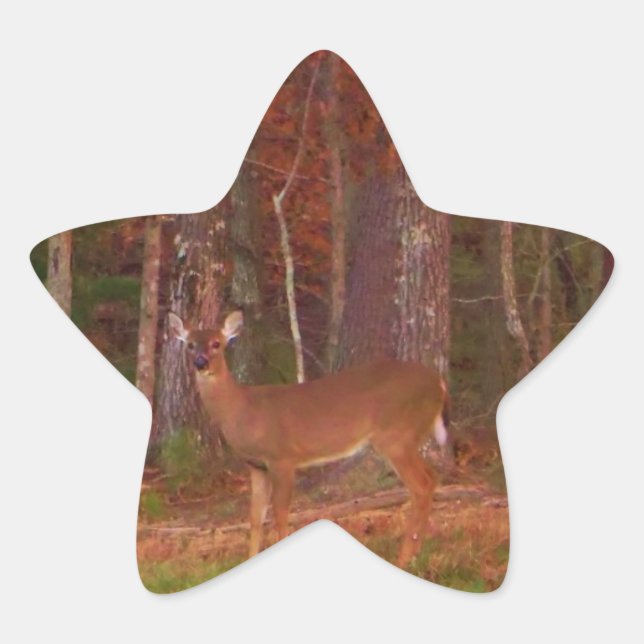 Hirsche, Grüngrasrot und Gold-Blätter Stern-Aufkleber (Vorderseite)
