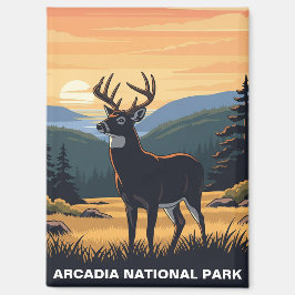 Hirsche im Arcadia-Nationalpark Magnet