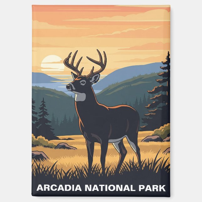 Hirsche im Arcadia-Nationalpark Magnet (Vorderseite)