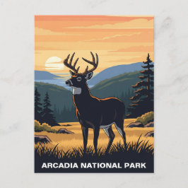 Hirsche im Arcadia-Nationalpark Postkarte