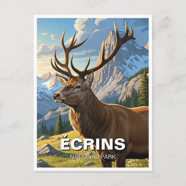 Hirsche im Écrins Nationalpark Frankreich Postkarte (Vorderseite)