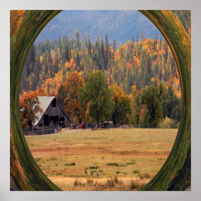 Hirsche im Herbst.... Poster (Vorne)