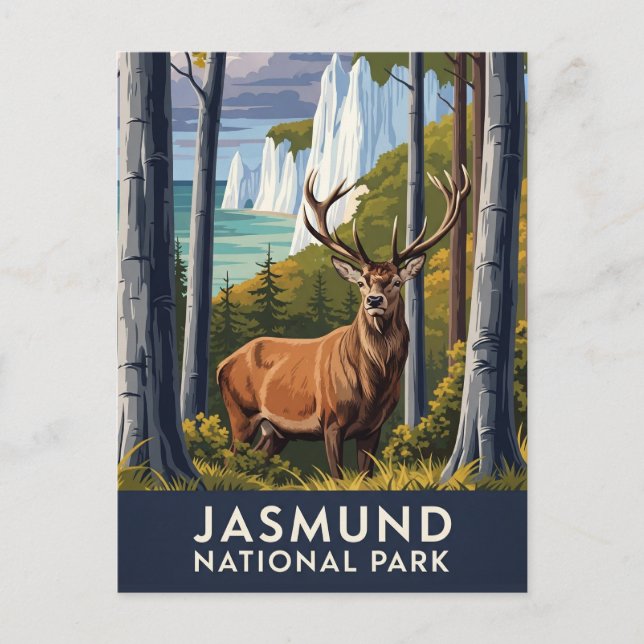 Hirsche im Jasmund Nationalpark Deutschland Reisen Postkarte (Vorderseite)