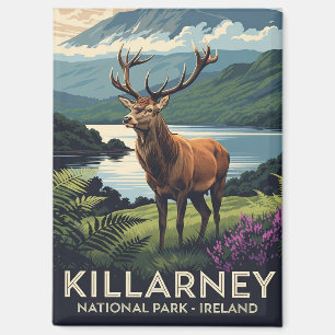 Hirsche im Killarney National Park Irland Travel Magnet