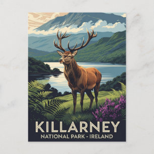 Hirsche im Killarney National Park Irland Travel Postkarte