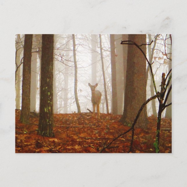 Hirsche im Mist Postkarte (Vorderseite)