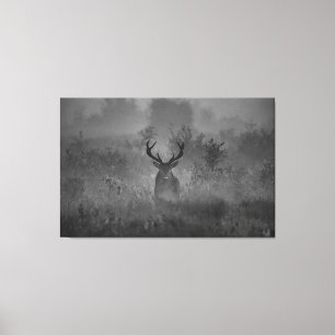 Hirsche im Nebel Leinwanddruck