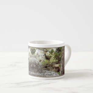 Hirsche im Rocky Mountain Nationalpark Espressotasse