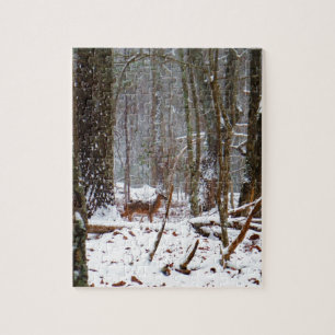 Hirsche im Schnee fallen