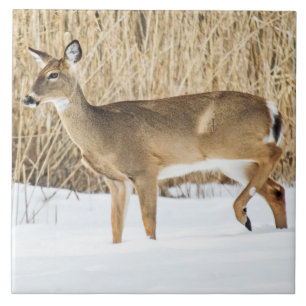 Hirsche im Schnee Fliese