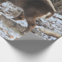 Hirsche im Schnee