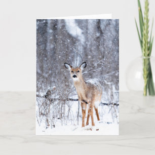 Hirsche im Schnee Karte