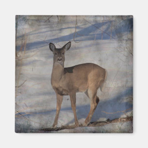 Hirsche im Schnee Magnet