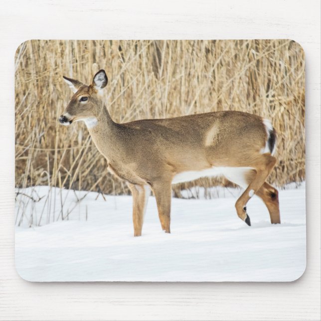 Hirsche im Schnee Mousepad (Vorne)